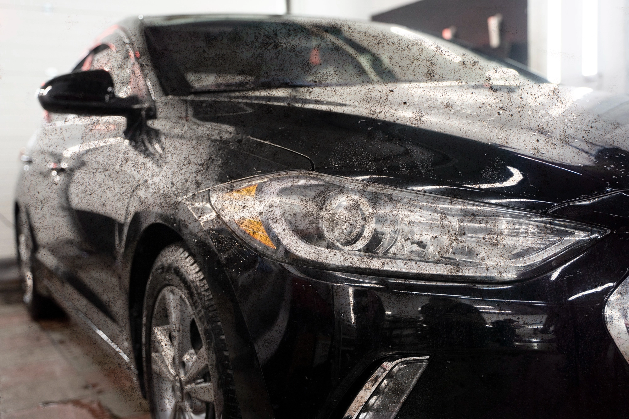 Car exterior wash before - CleaningArt
